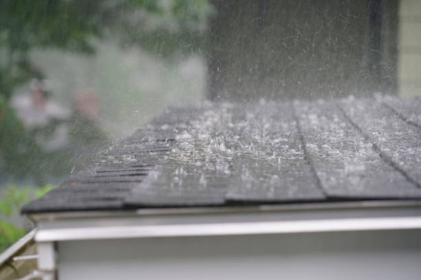 Best Sheet Metal Roofing  in Hemlock, MI