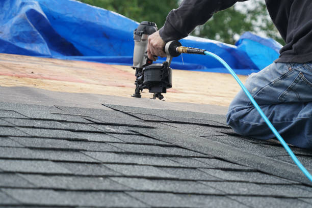 Best Roof Moss and Algae Removal  in Hemlock, MI